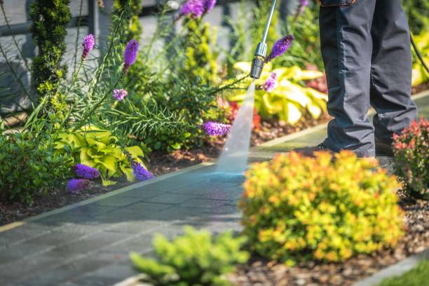 Best Commercial Pressure Washing in Brady, TX